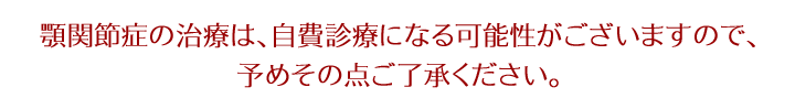顎関節症:頭蓋骨写真
