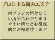 �v���ɂ�鎕�̃G�X�e