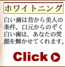 �z���C�g�j���O