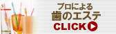 �v���ɂ�鎕�̃G�X�ePMTC
