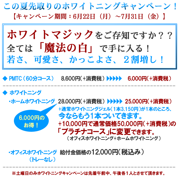 �z���C�g�j���O�L�����y�[��